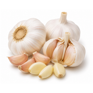 Fresh Garlic |
